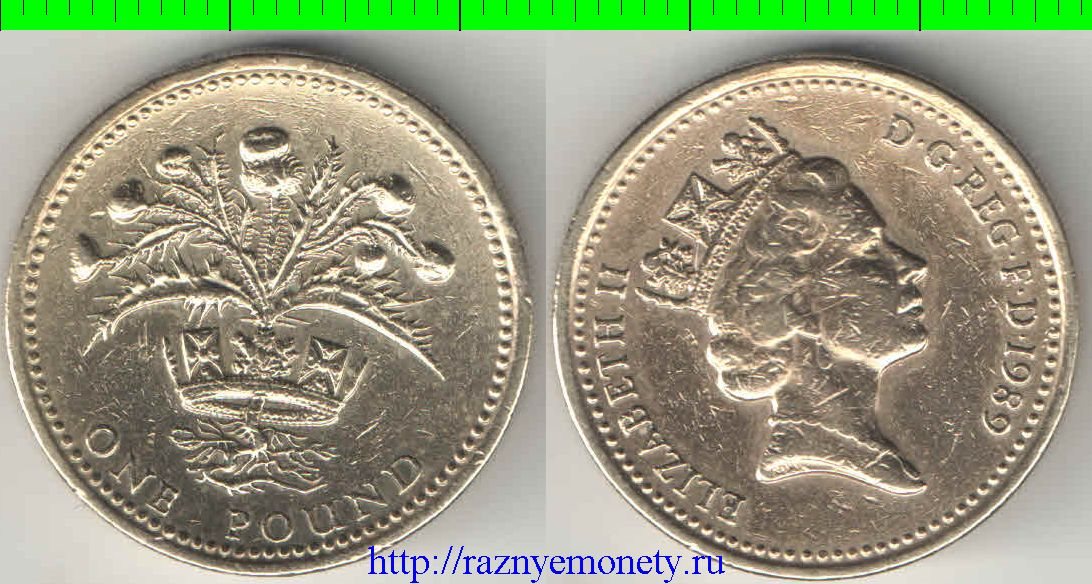 Великобритания 1 фунт 1989 год (Елизавета II) Шотландский чертополох (тип II)