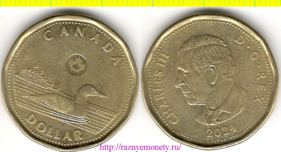 Канада 1 доллар 2024 год - КАРЛ III (ЧАРЛЬЗ III) утка - РЕДКОСТЬ