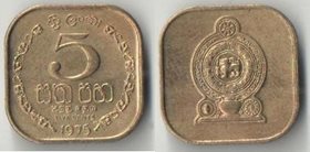 Цейлон (Шри-Ланка) 5 центов 1975 год (год-тип, нечастый тип)