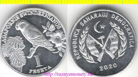 Западная Сахара 1 песета 2020 год - Попугай