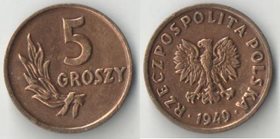 Польша 5 грош 1949 год (бронза) (нечастый тип)