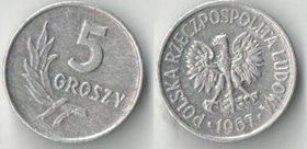 Польша 5 грош (1958-1972)